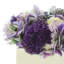 Arrangement