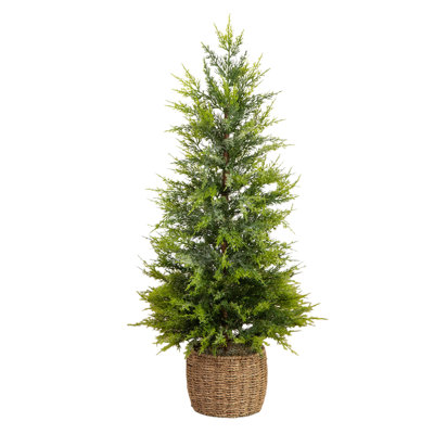 White 3' Pre-Lit Cypress Christmas Tree