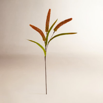 Sorghum Floral Stems