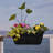 Lucca Self-Watering Plastic Indoor/Outdoor Oval Balcony Box Planter with Metal Hanging Bracket-184371389