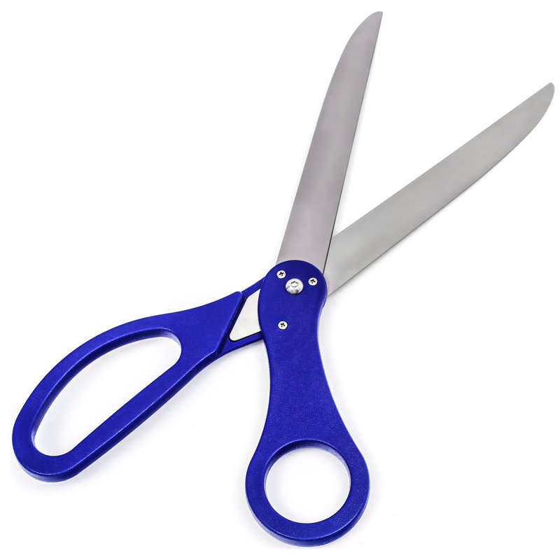 Allures & Illusions All-Purpose Kitchen Scissors, Blue