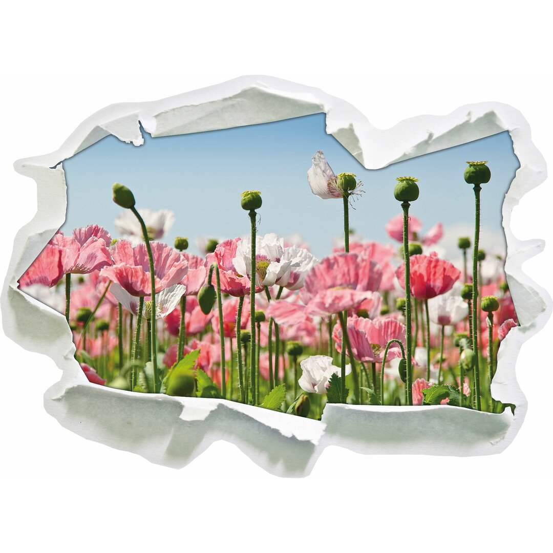 Wandtattoo Blumenwiese Mohnblumen