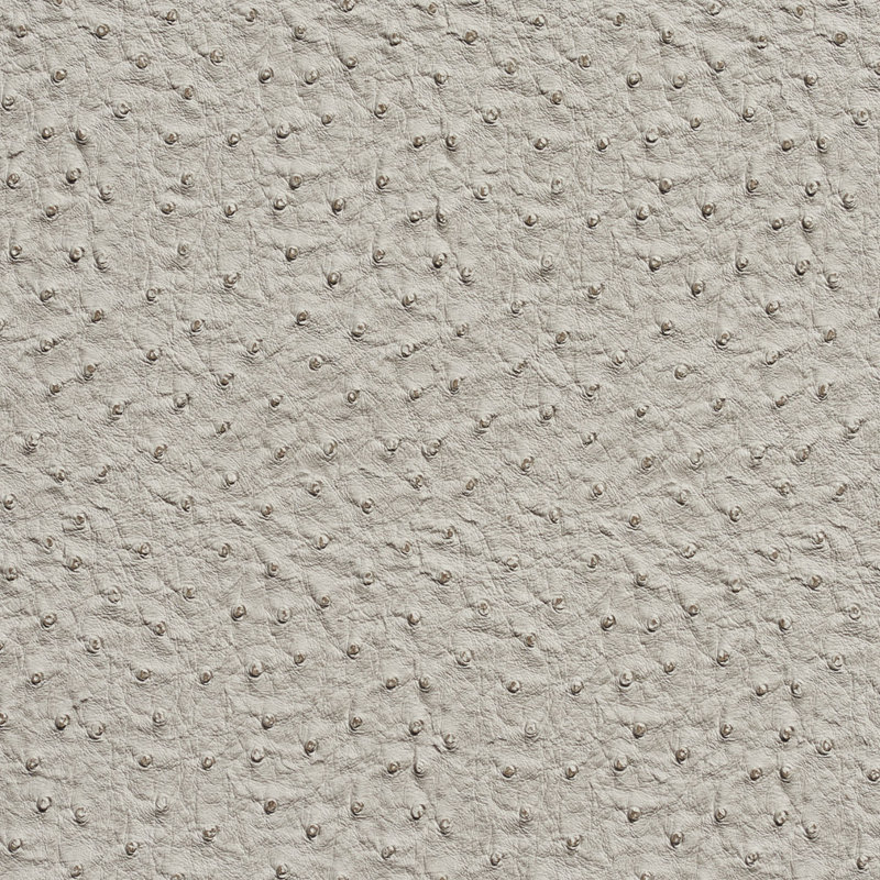 Vinyle autruche, Gris clair