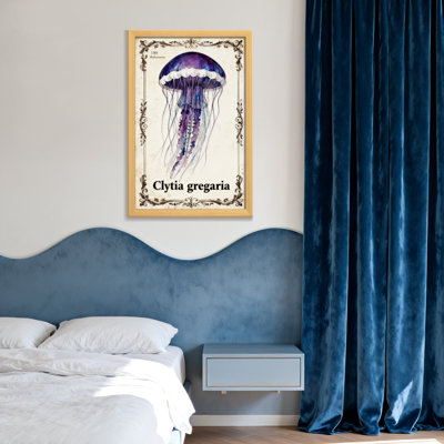 Animals Clytia Gregaria Jellyfish Art Print Vintage Style