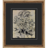 Antique Tree Study 1 Painting