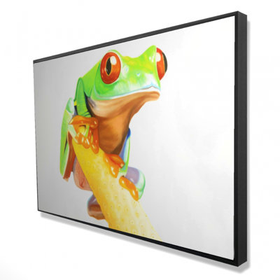 Curious Red Eyed Frog Print On Canvas