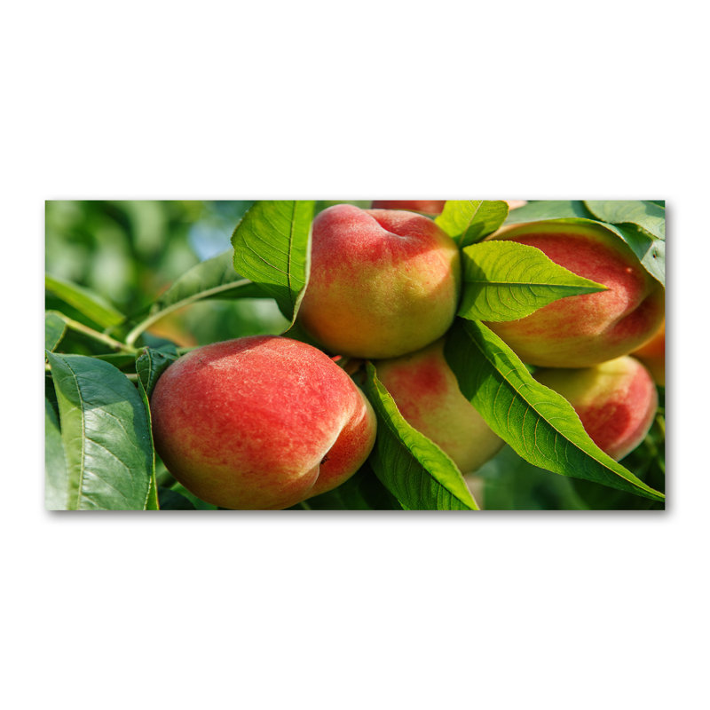 Peaches - No Frame Print on Canvas