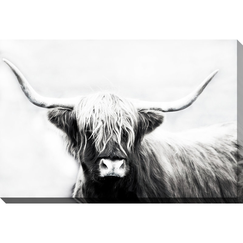 Highland Longhorn Canvas Wall Art, 16" H x 20" W