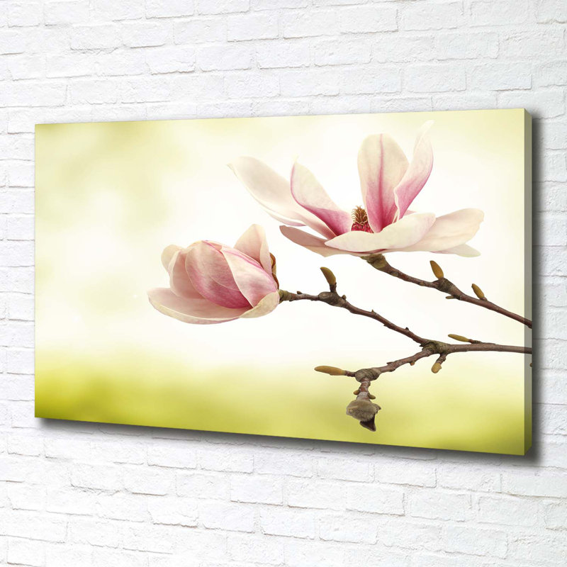 Magnolia - Wrapped Canvas Print