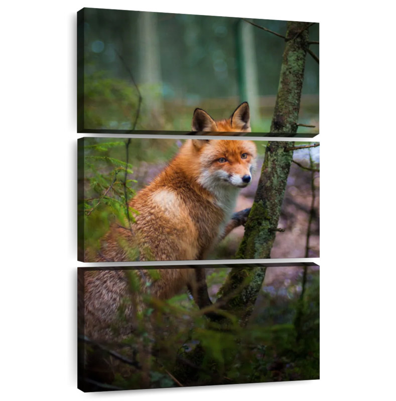 Brampt Wild Forest Fox, 45" H x 28" W