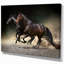 Animaux, chevaux, galop dans le désert, impression-35111693-29495978