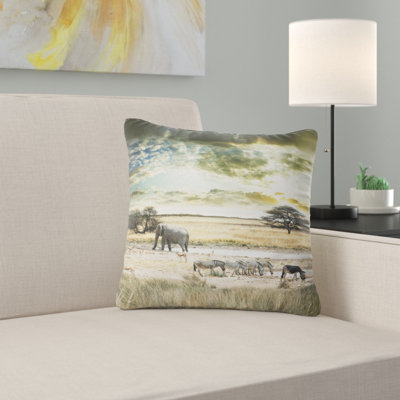 Throw Pillow