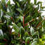 90cm Faux Tree in Pot Liner