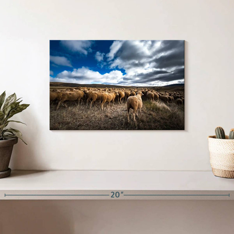 Brampt Soria Sheep Flock, 8" H x 12" W