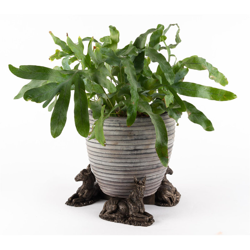 Westley Weather Resistant Planter Feet