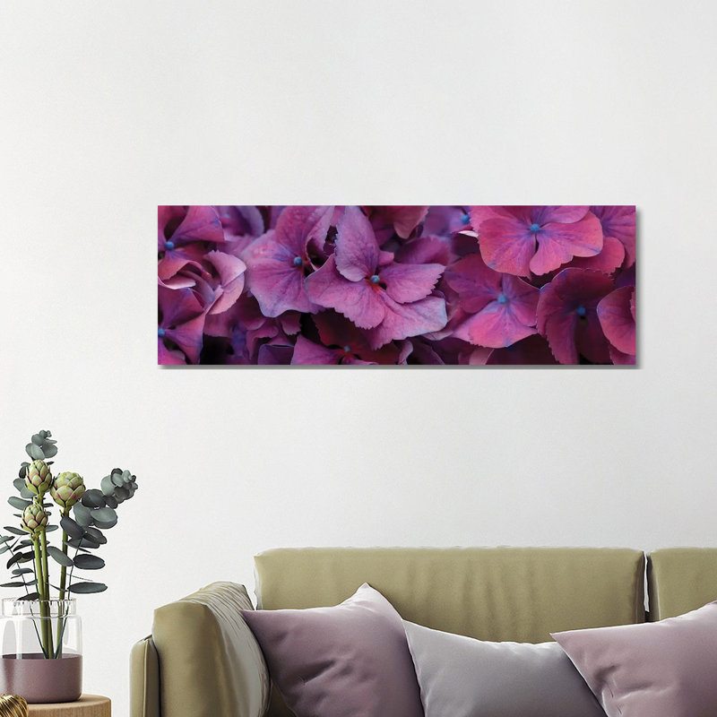 Close-Up Of Hydrangea Flowers I - Wrapped Canvas Panoramic Print, 121.92 cm H x 40.64 cm W x 1.91 cm D