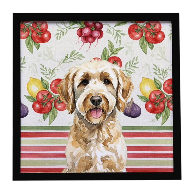 Labradoodle Légumes, impression sur métal encadrée