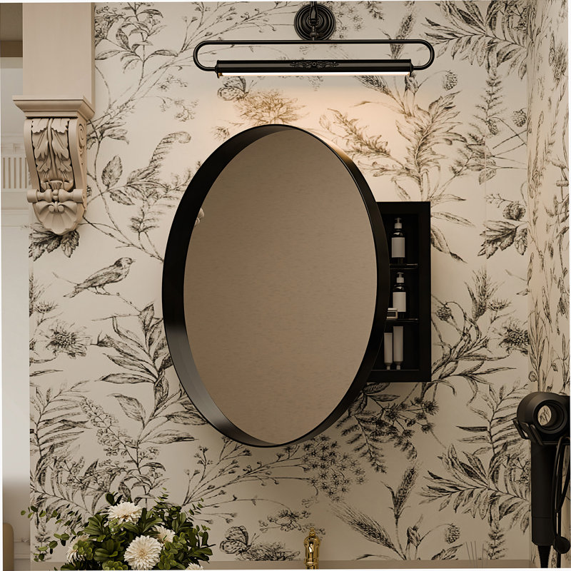 Armoire de rangement murale ronde en métal avec miroir et tablettes réglables, Noir