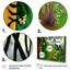 «Blossoming And Vibrant Jungle Flora IV», reproduction sur toile 3 pièces-1707148226-1707148093