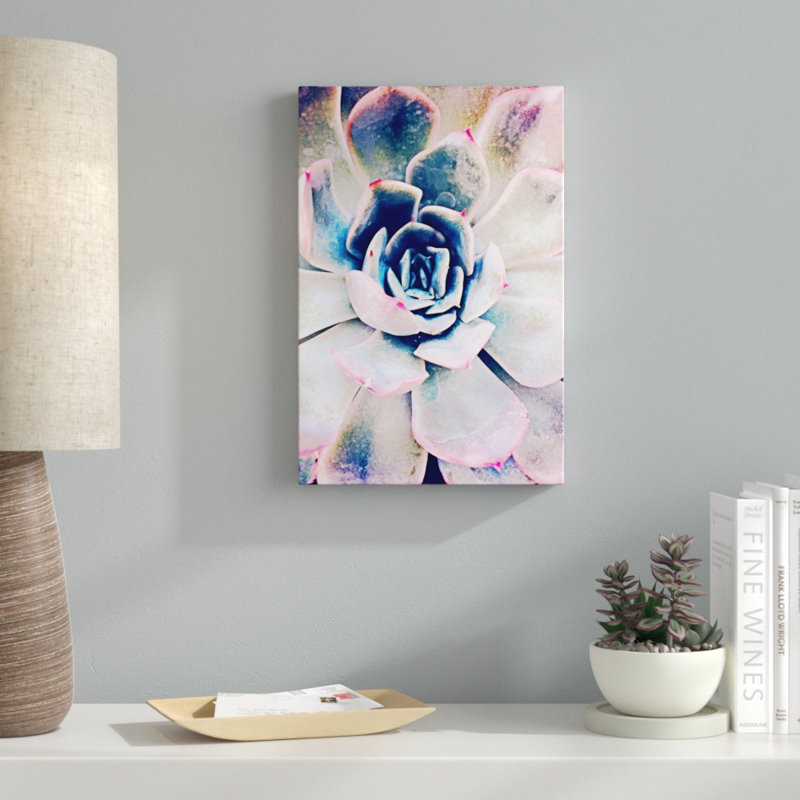 «Pastel Succulent Beauty II», photographie sur toile, H 18 po x l 12 po