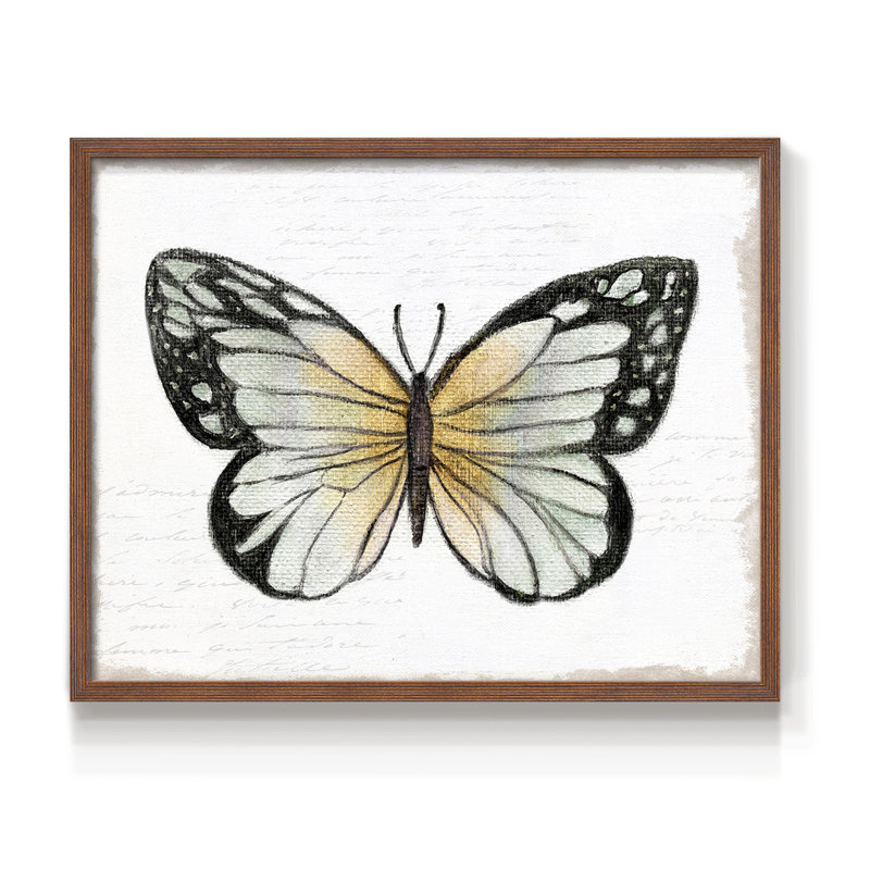 Vintage Flutter IV -Framed Print - Restickable, Walnut, 16" H x 20" W