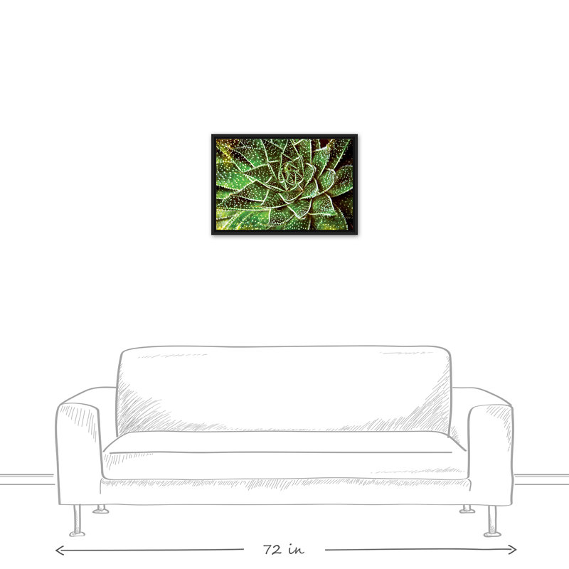 Spotty Succulent, reproduction d'art sur toile, L 25,75 po x H 17,75 po