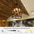 4-Light Dimmable Black Iron Birdcage Crystal Chandelier