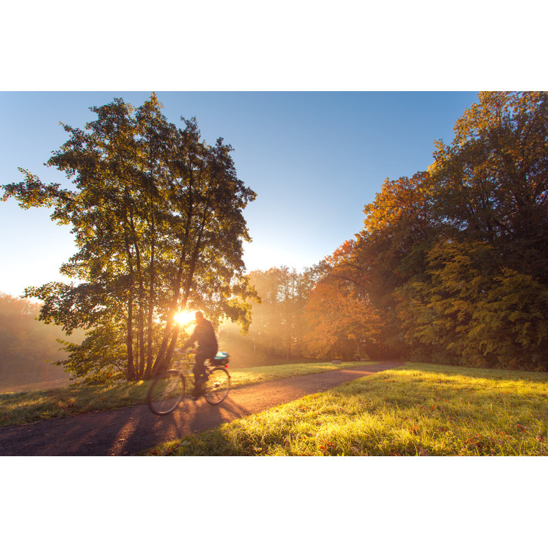 Morning Activities by Toxicray - Wrapped Canvas Print, 20cm H x 30cm W