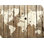 Farmhouse Cities & Countries Wall Decor on Solid Wood