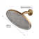 Full/Standard Adjustable Shower Head 1.8 GPM GPM with Self-Cleaning