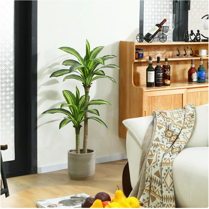Arbre Dracaena 4 pi 4 po