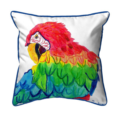 Outdoor Throw Pillow