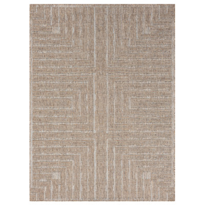 Flatweave Indoor Rug