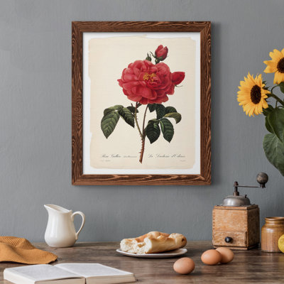 Red Botanical III - cadre photo, impression sur toile
