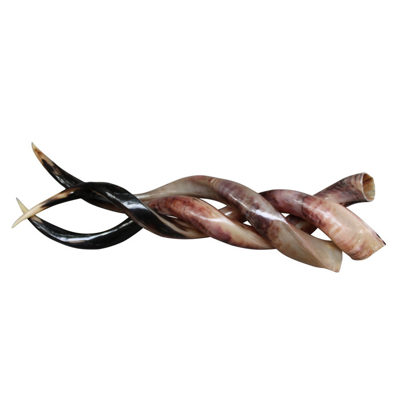 Polished Horn (Loose)