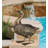 Illumine Duck Decor - UP