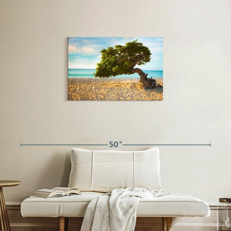 Arbre Gillard Divi-Divi à Aruba, H 20 po x l 30 po