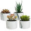 14.5cm Faux Succulent Plant in Ceramic Planter