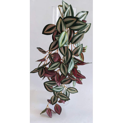BOUQUET DE ZEBRINA 25''