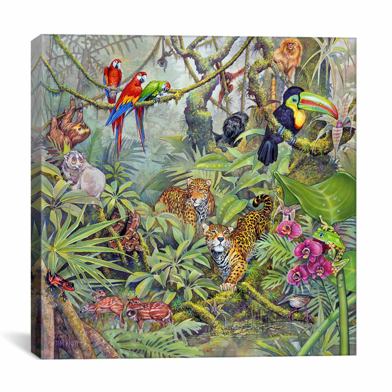 "The Rainforest" par Tim Knepp, reproduction d'art sur toile tendue, H 12 po x l 12 po x P 0,75 po, Toile tendue