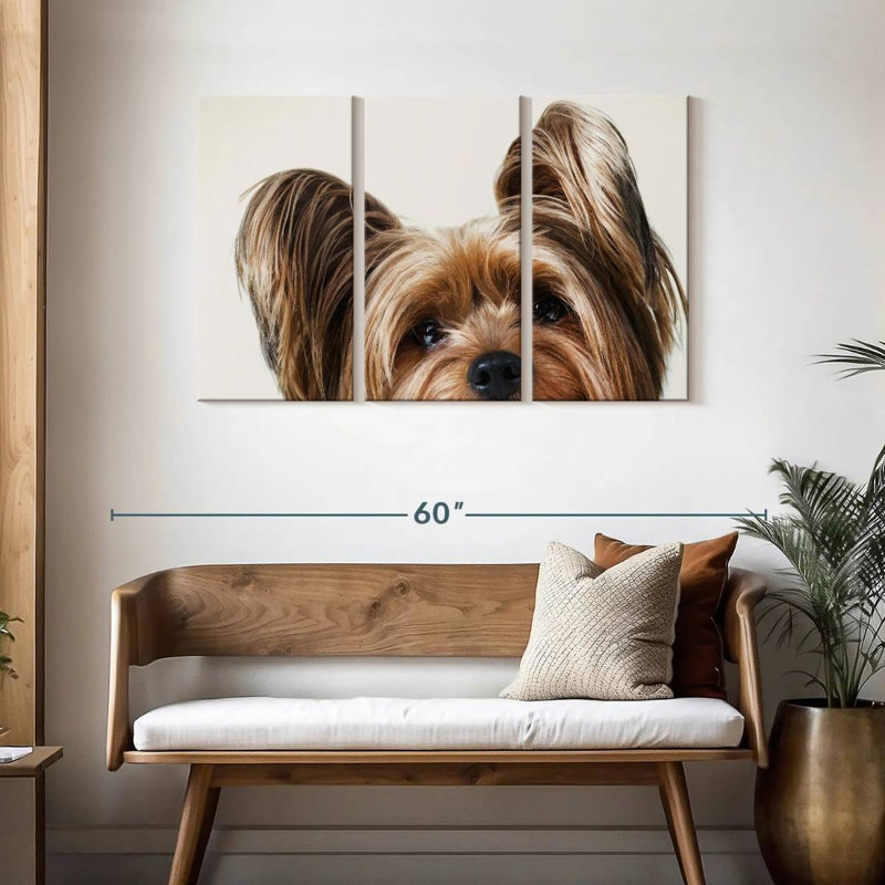 Brampt Jeri, 28" H x 45" W