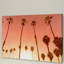 « juste une autre chaude west coast evening », reproduction d’art sur toile tendue-343047320