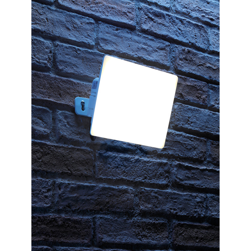 Riceville LED Flood Light