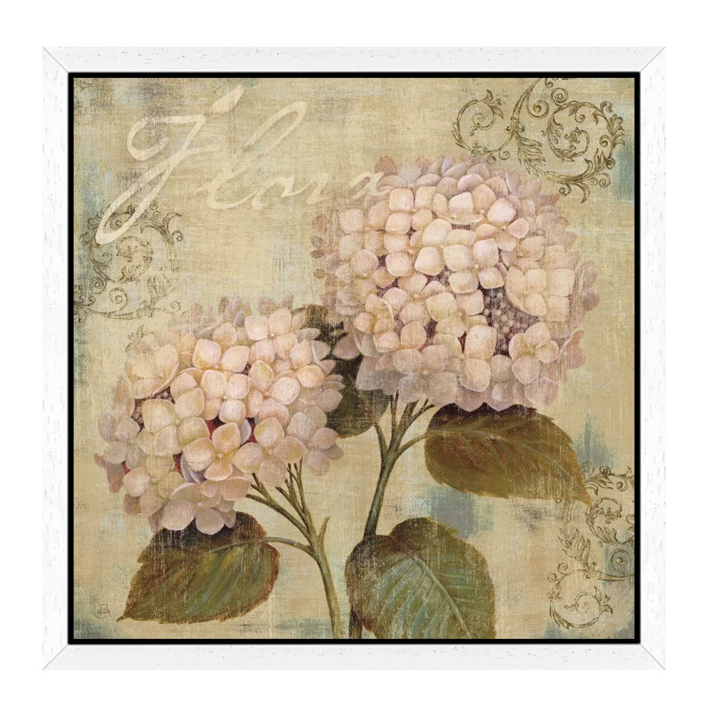 Ornament II by Daphne Brissonnet - Print on Canvas, 45.72 cm H x 45.72 cm W, White Framed