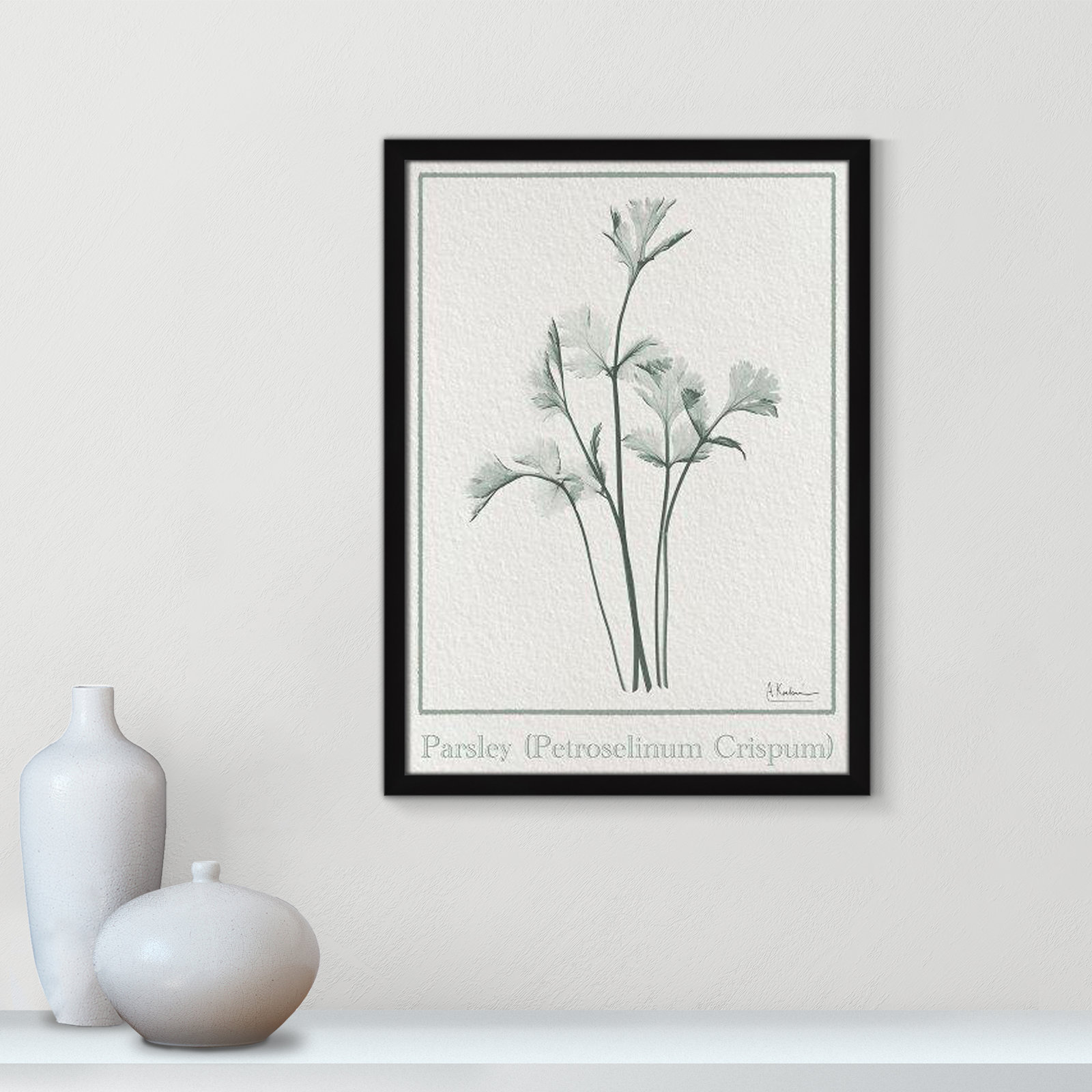 Jeanette "Parsley II" Print by Albert Koetsier, 23" H x 17" W x 1.25" D, Black Framed Paper