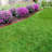 0.5 in. H x 8 ft. W Rubber Roll Edging-49425933