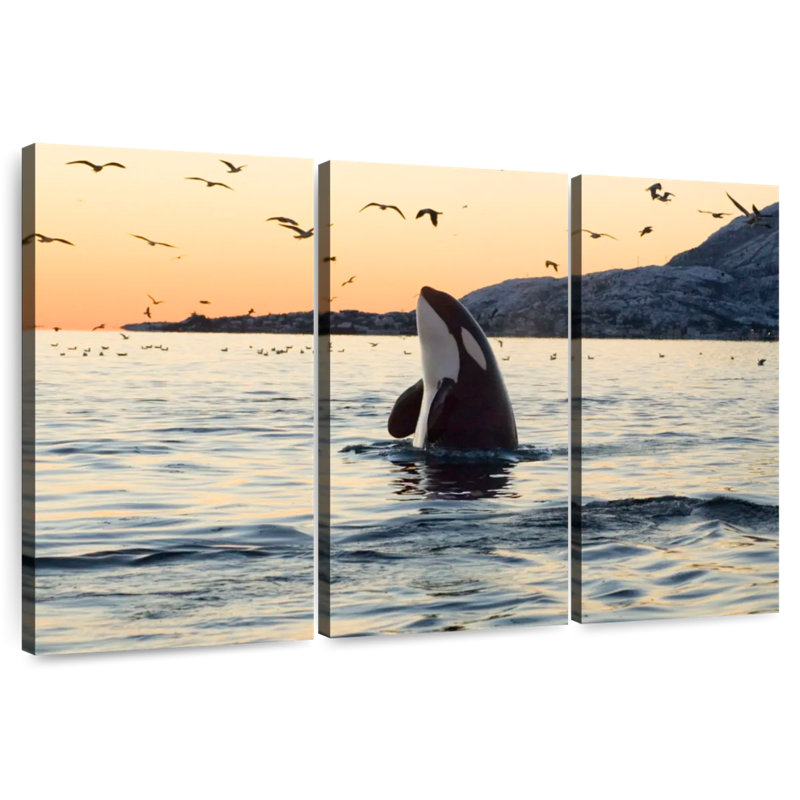Spyhopping Orca Whale, 32" H x 50" W