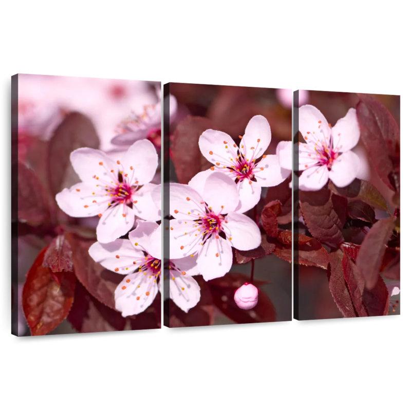 Fleurs de cerisier japonais Harnek, H 32 po x l 50 po