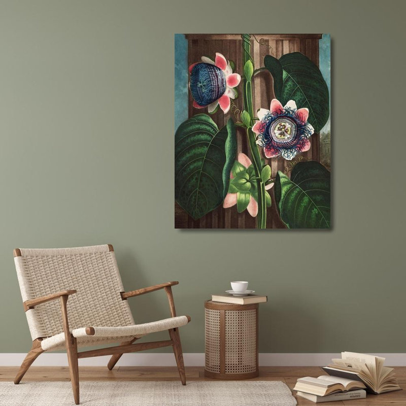 Thornton, Robert John, reproduction d'art sur toile: La fleur de la passion quadrangulaire du temple de Flora