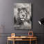 Fierté de la fierté - galerie Cavas-785081781
